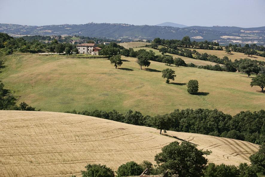 Agriturismo D' Epoca La Marianella 카타비오 객실 사진