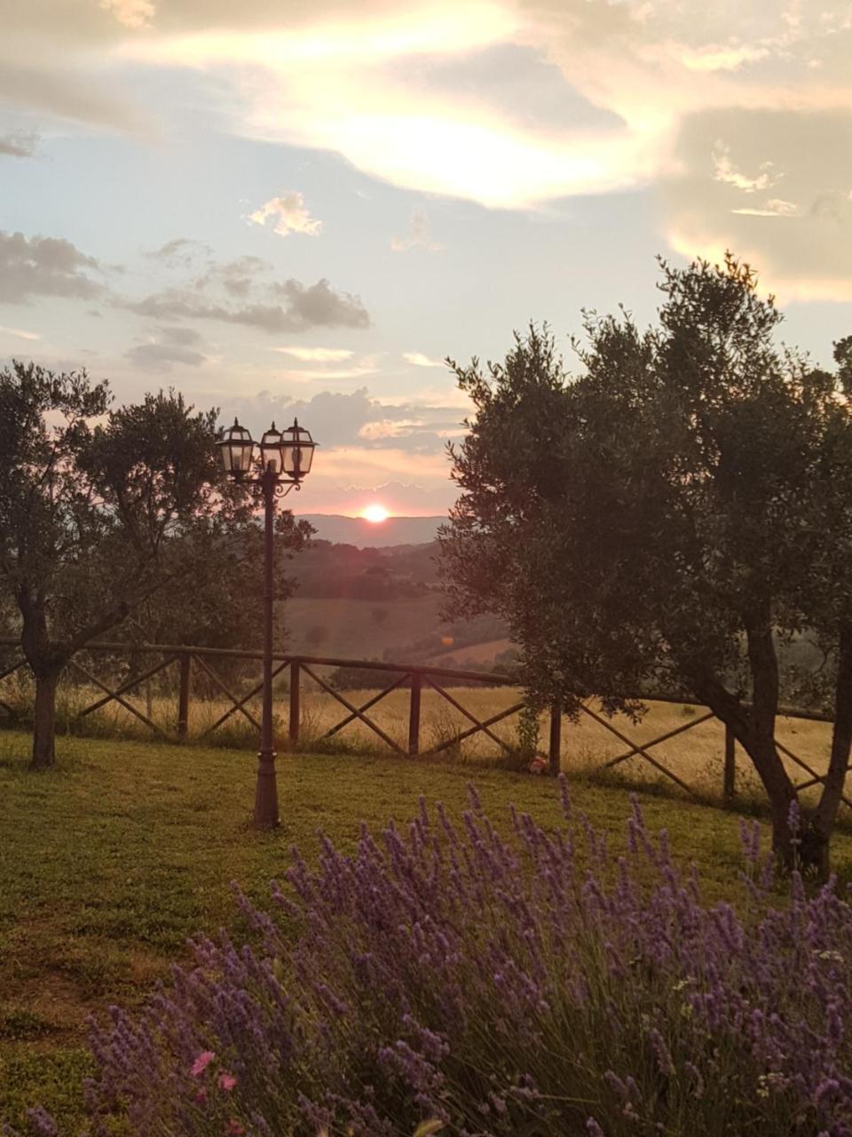 Agriturismo D' Epoca La Marianella 카타비오 외부 사진