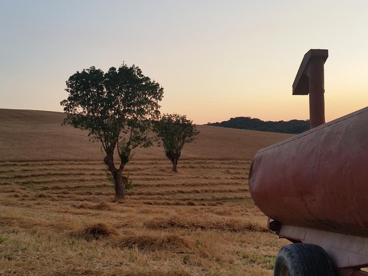 Agriturismo D' Epoca La Marianella 카타비오 외부 사진