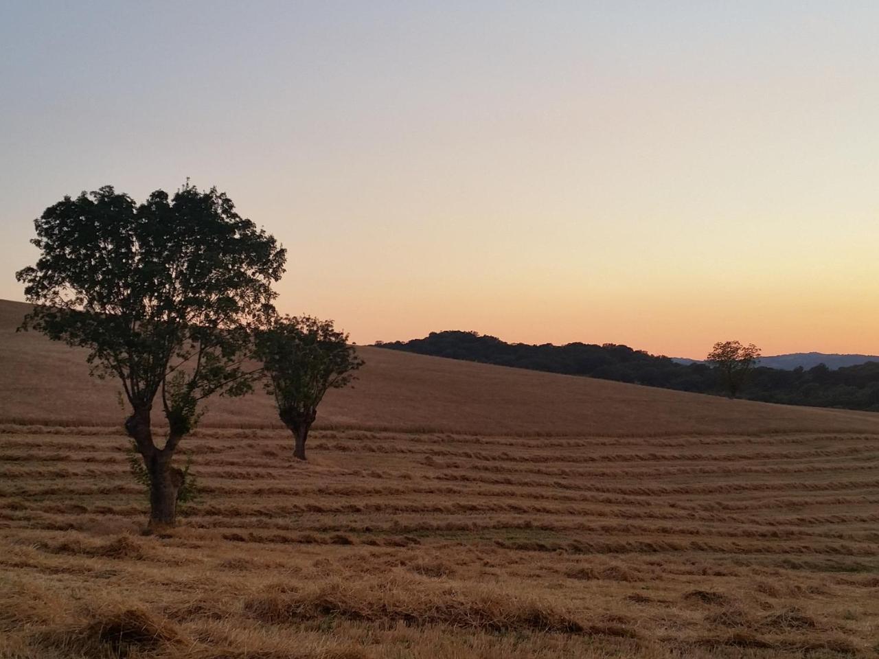 Agriturismo D' Epoca La Marianella 카타비오 외부 사진